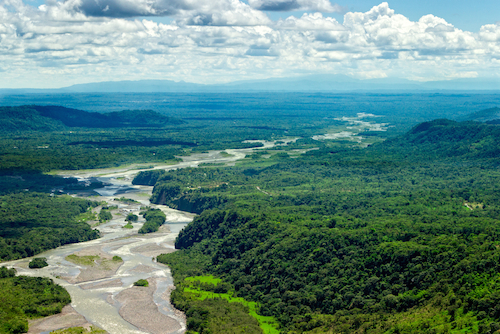 Amazon river aerial