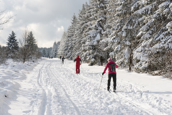 Cross country skiing in Belgium - image by Thomas Dekiere /shutterstock.com