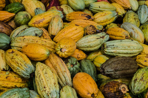 Cocoa beans - Ghana is one of the leading cocoa producers