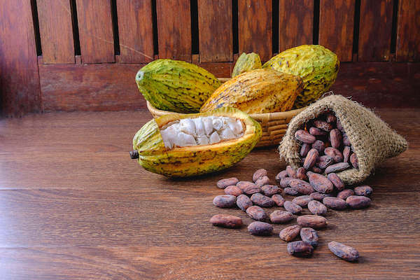 Cocoa pod with cocoa beans