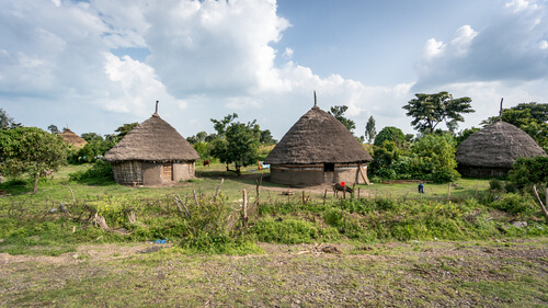 Ethiopian huts in Omo valley - image by Canyalcin/shutterstock.com