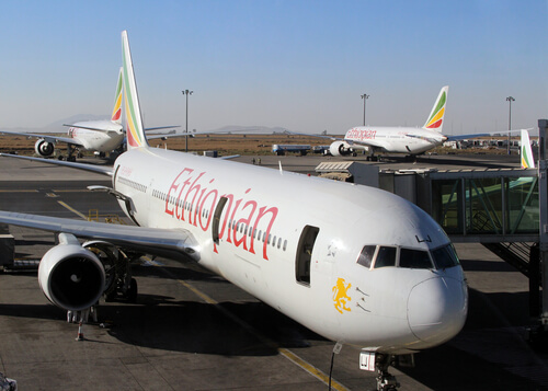 Ethiopian airlines plane by Fedor Sidorov Shutterstock.com