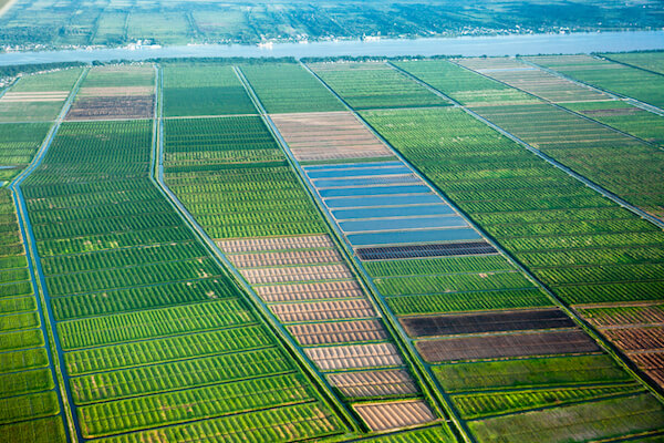 Fields near Georgetown Guyana - image by Victor 1153/shutterstock