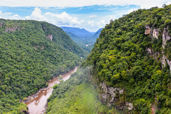 Guyana rainforest aerial