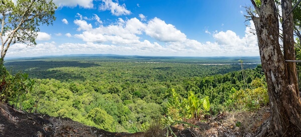 Views over the Guyana rainforest from Turtle Mountain