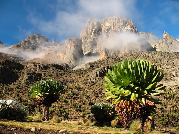 Mount Kenya - image by David Patek