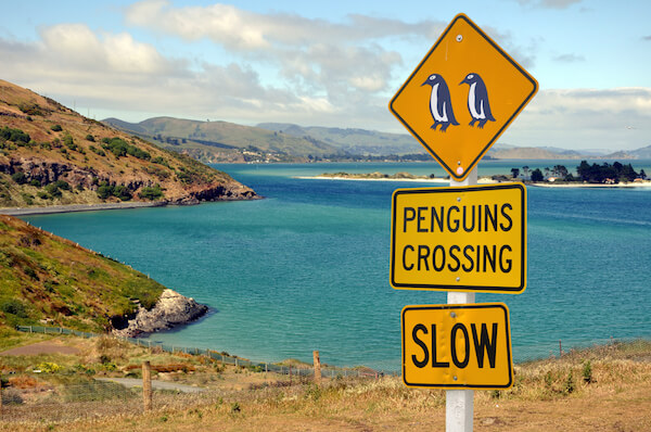 New Zealand Otago penguin sign - image by shutter stock.com