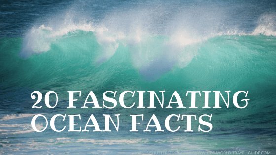 20 ocean facts