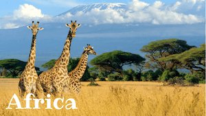 Africa Facts by Kids World Travel Guide