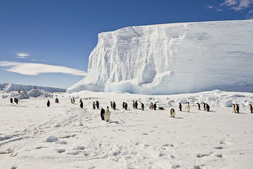 Antarctica ice with penguins and clear blue sky