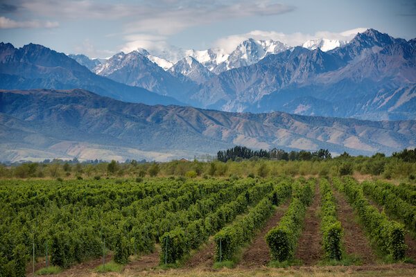 Mendoza Wine Valley in Argentina