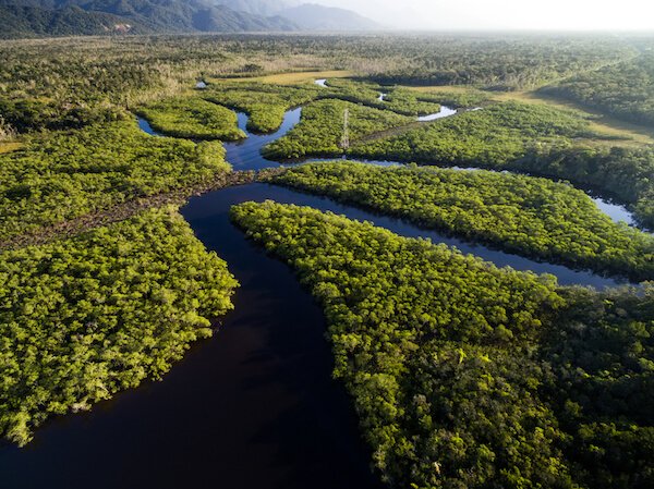 Aerial view of Amazon rainforest in Brazil