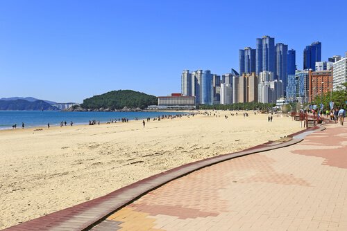 Busan beach resort with skyline