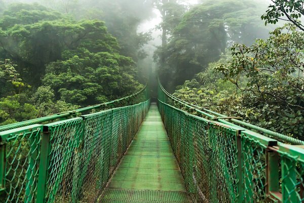 Costa Rica Hanging Bridge in Monteverde Cloud Forest