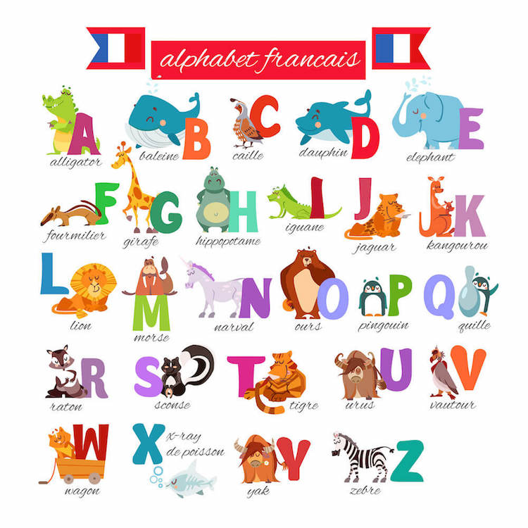 French alphabet with animals