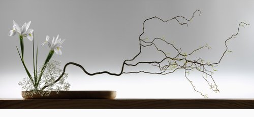 ikebana - Japanese art of flower arranging