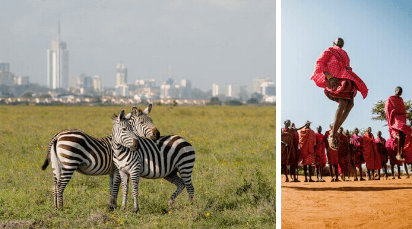 Facts about Kenya: Zebras in Nairobi National Park and Jumping Maasai (iSelena/shutterstock)