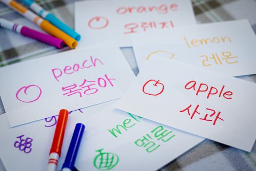 Korean Language Flashcards