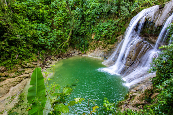 puertorico gozalandia waterfall