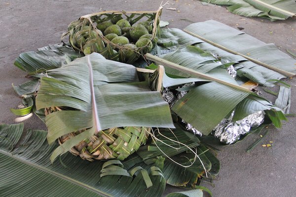 Breadfruits are commonly cooked over fire on hot stones. They are staple food with rice and taro leaves.