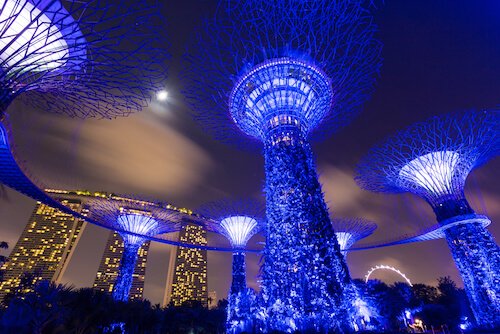 Gardens by the Bay with illuminated trees in blue - image by Hatchapong Palurtchalvong