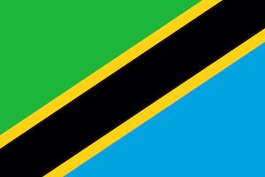 Tanzania flag
