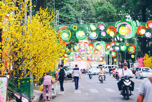 Vietnam Tet flowers in Ho Chi Minh City - image by Joel Whalton/Shutterstock.com