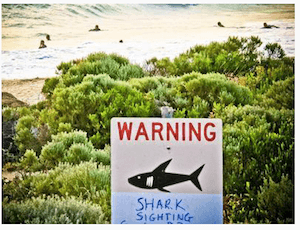 shark warning sign dpa