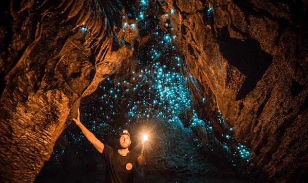 Waitomo Caves glowworms